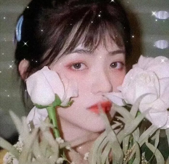 全球精选